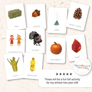 Fall Flash Cards