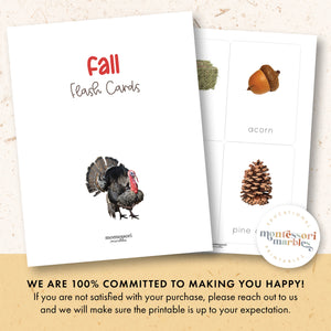 Fall Flash Cards