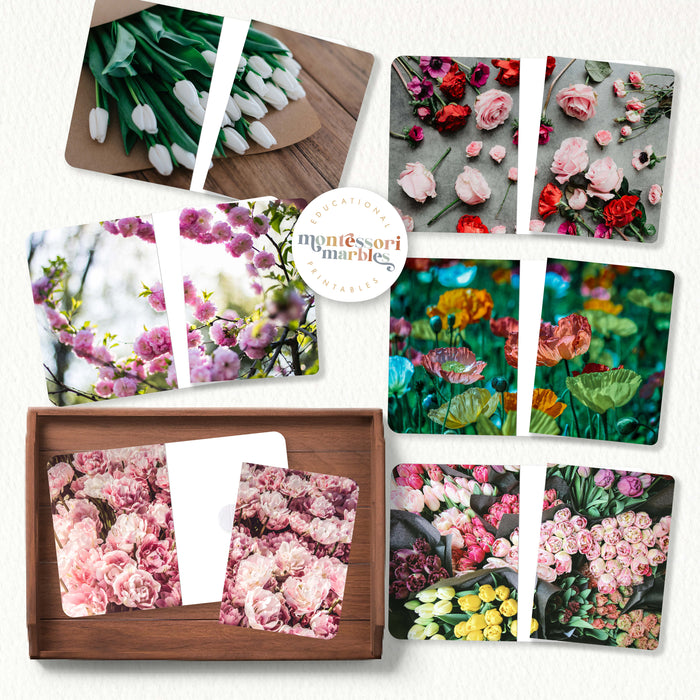Flowers Complete the Pictures
