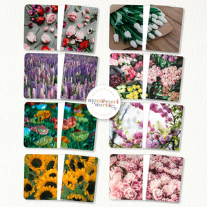 Flowers Complete the Pictures