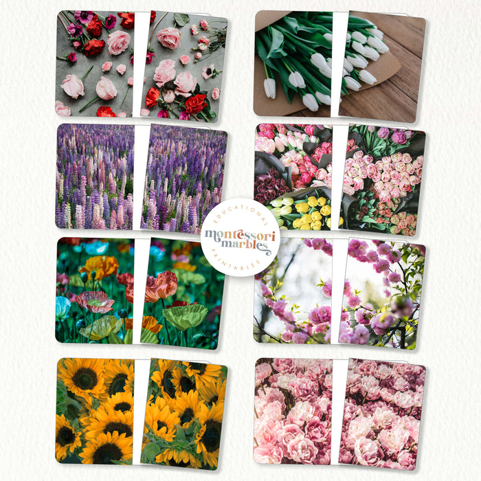 Flowers Complete the Pictures