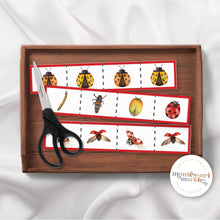 Load image into Gallery viewer, Ladybug Cutting Strips

