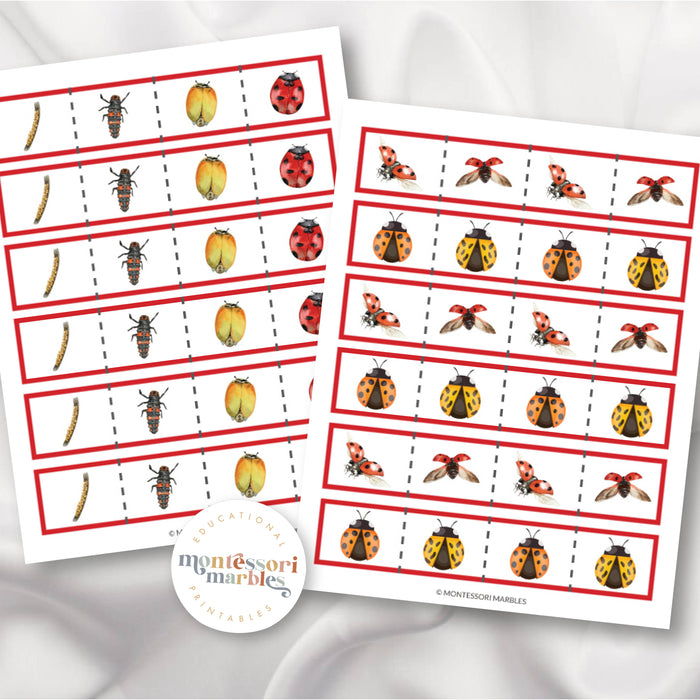 Ladybug Cutting Strips