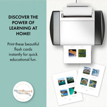 Load image into Gallery viewer, Landforms Flash Cards
