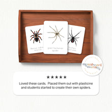 Load image into Gallery viewer, Spider Flash Cards
