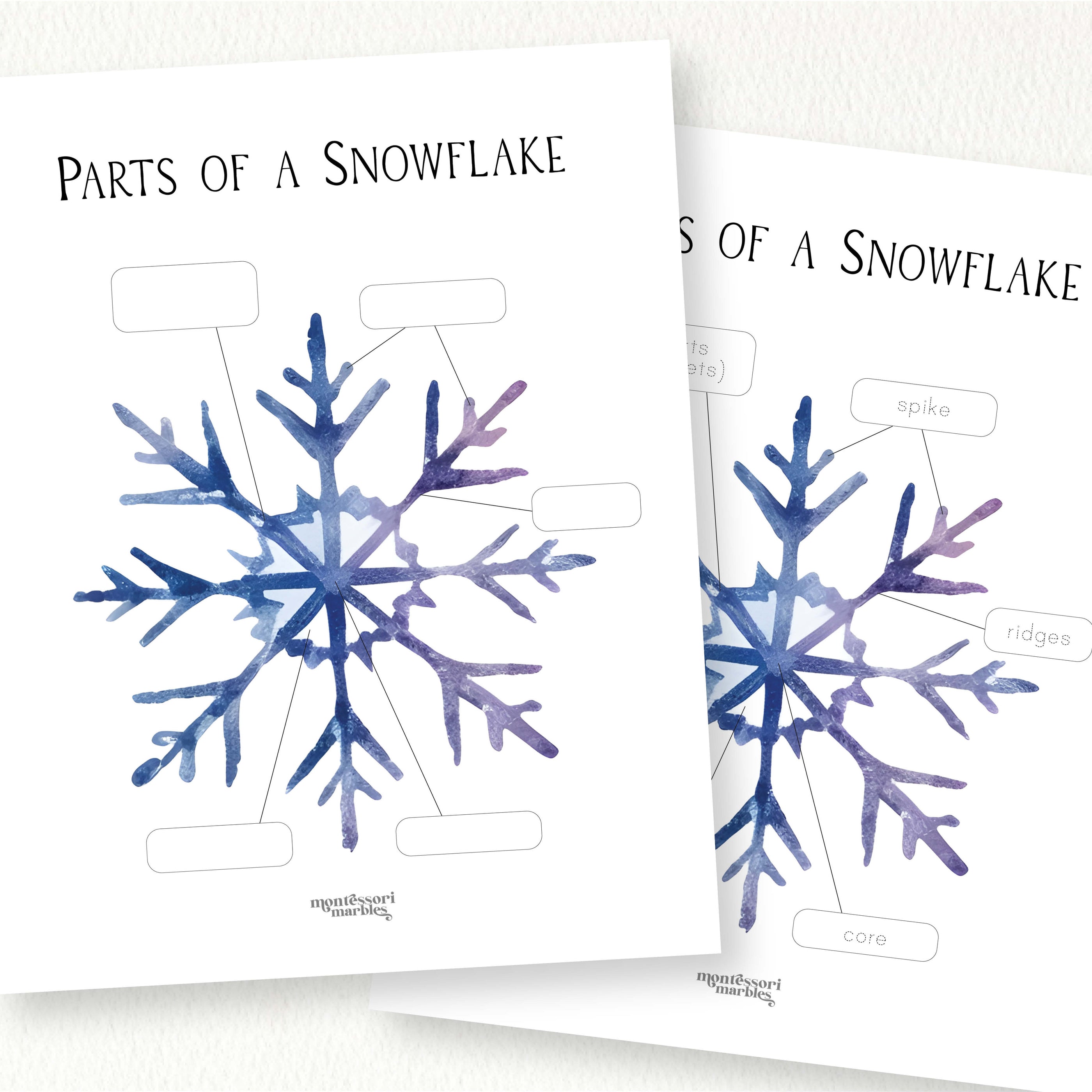 Snowflake Part Names Parts of a Snowflake Worksheet | Winter Science Activity Ages 4-9 ...