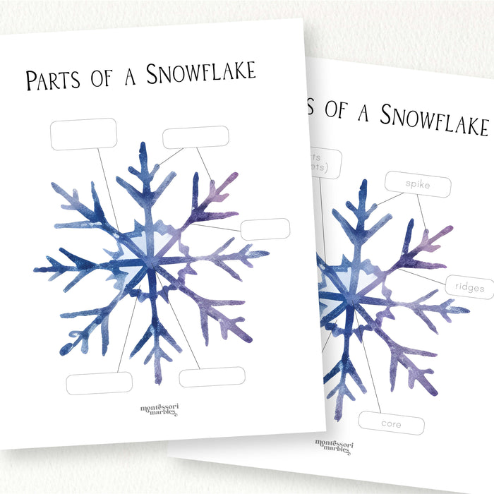 Parts of a Snowflake
