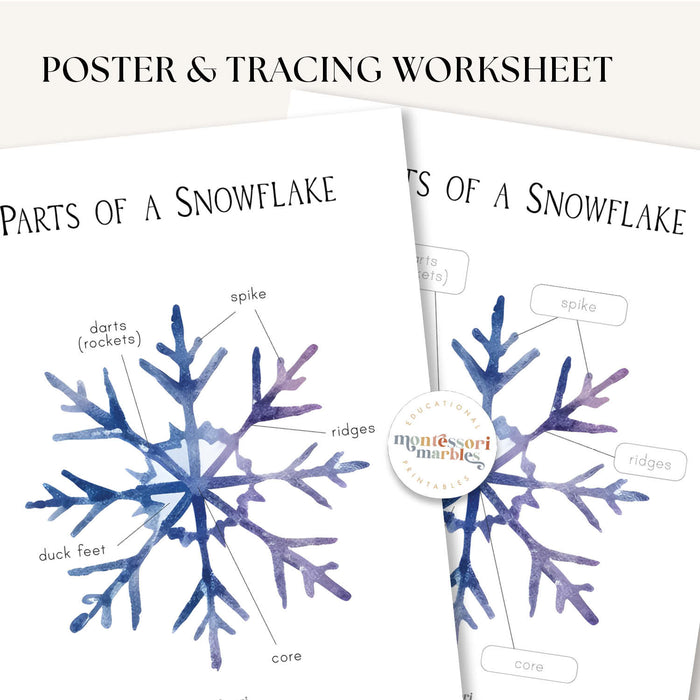 Parts of a Snowflake