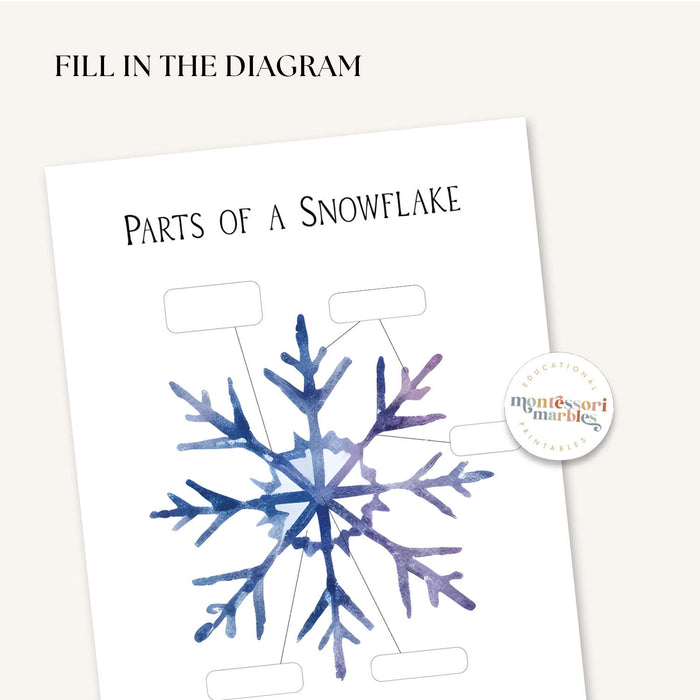 Parts of a Snowflake