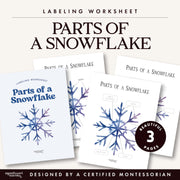 Snowflake anatomy poster with labeled parts for winter study — ages 3-6