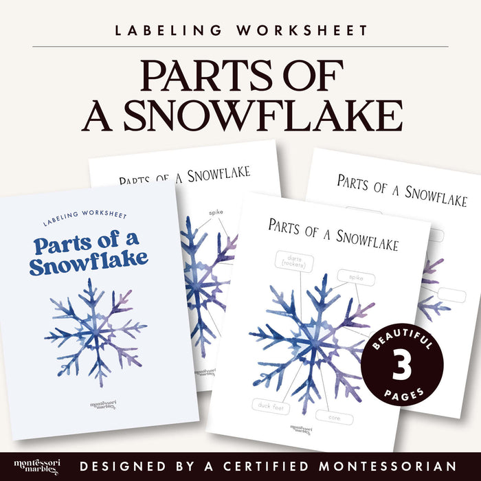 Parts of a Snowflake