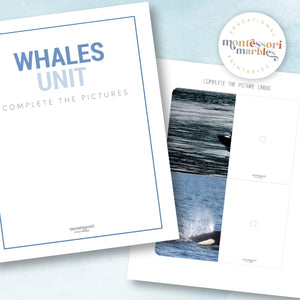 Whales Complete The Pictures