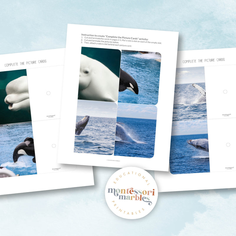 Whales Complete The Pictures