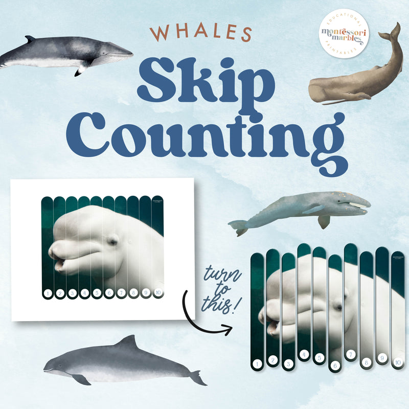 Whale-themed skip-counting math puzzles—marine animals and number pattern learning