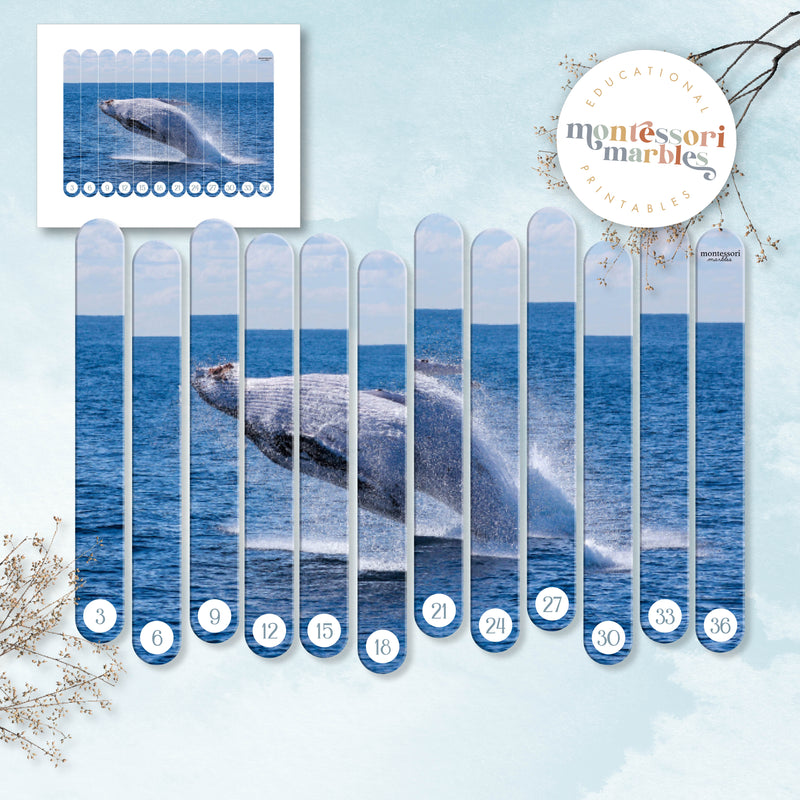 Whales Skip Counting Puzzles