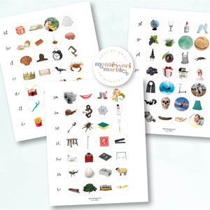 Montessori Blue Series Sorting Cards | Beginning Blends