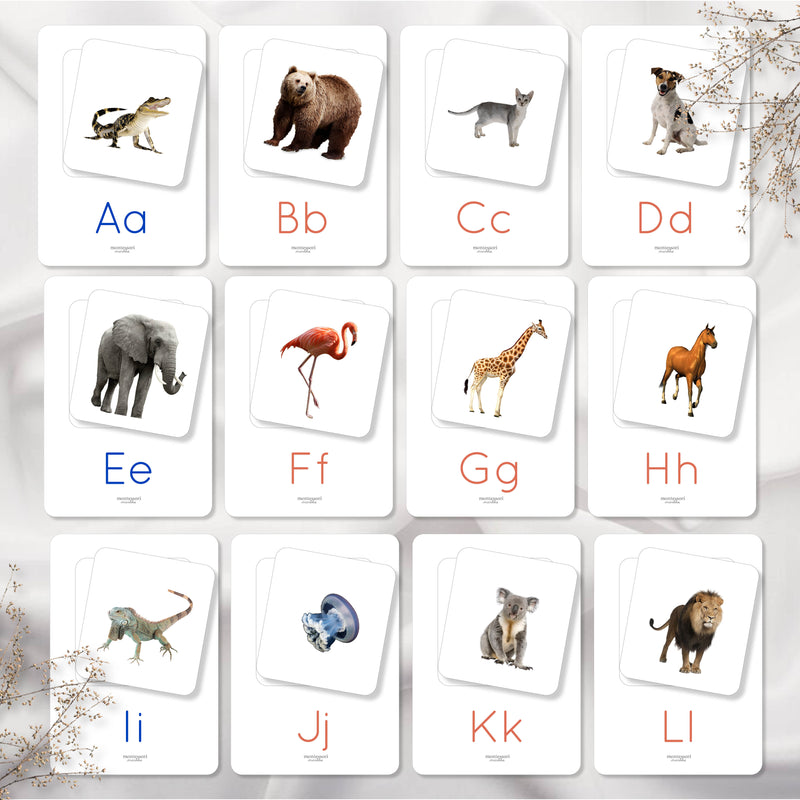 Beginning Sounds Matching Cards