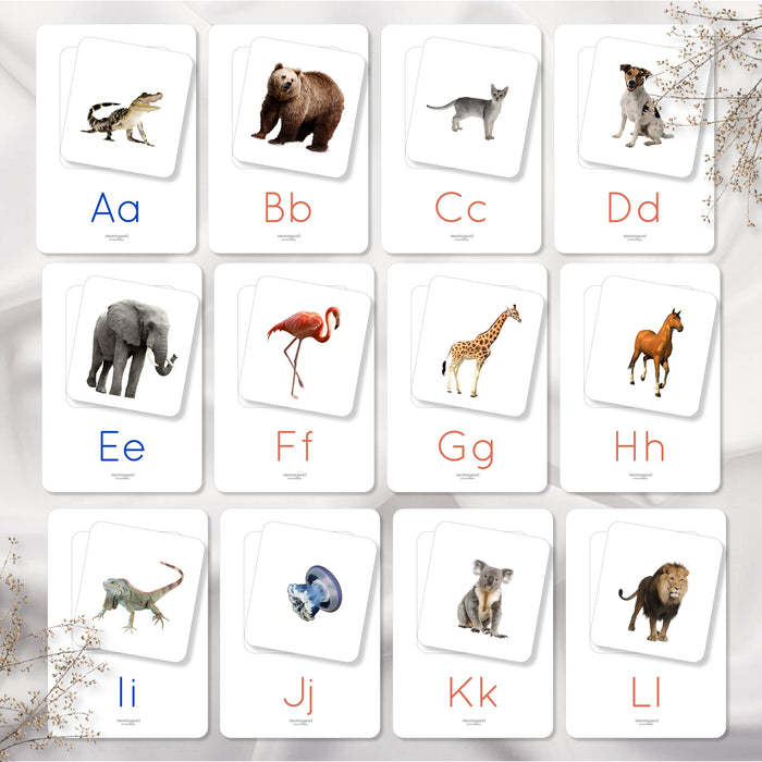Beginning Sounds Matching Cards