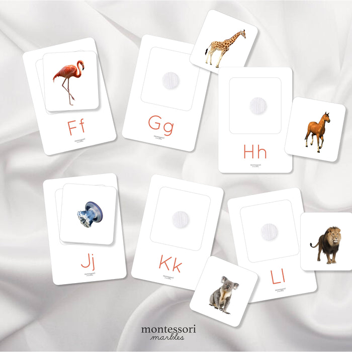 Beginning Sounds Matching Cards