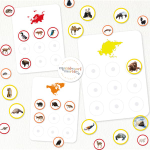 Animals and Continents Sorting Cards