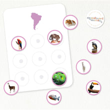 Load image into Gallery viewer, Animals and Continents Sorting Cards
