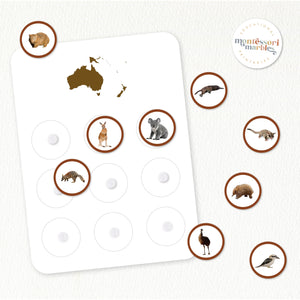 Animals and Continents Sorting Cards