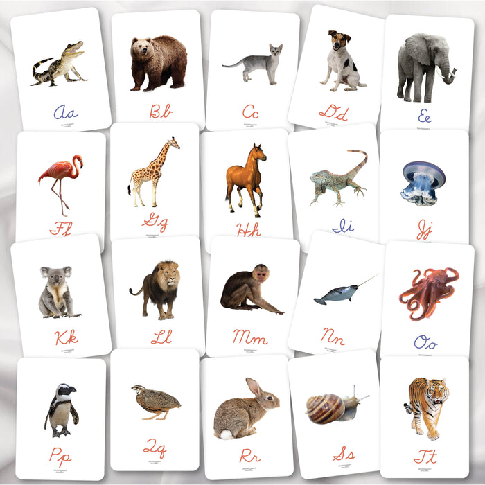 Beginning Sounds Flash Cards in Cursive