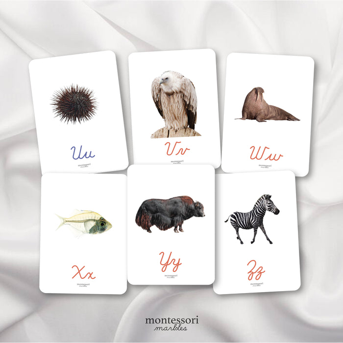 Beginning Sounds Flash Cards in Cursive