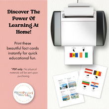 Load image into Gallery viewer, European Countries Fact Cards
