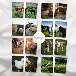 Farm Animals Complete the Pictures
