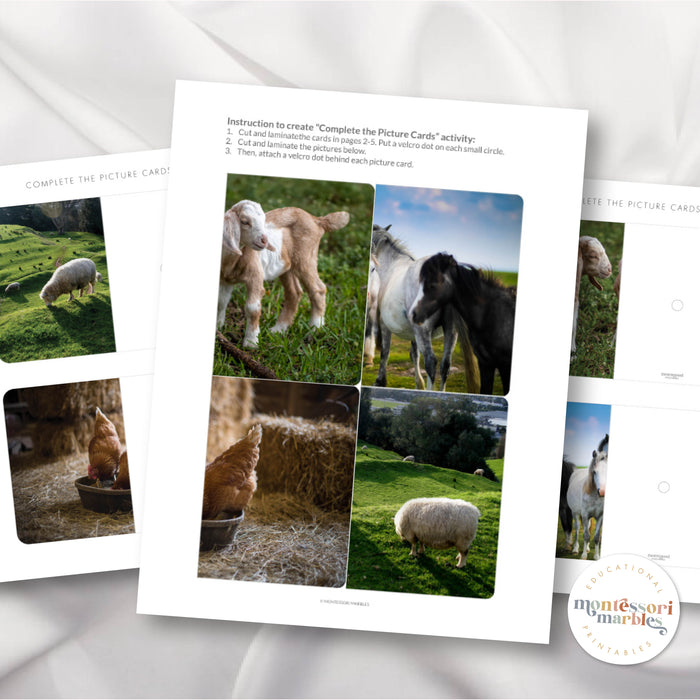 Farm Animals Complete the Pictures