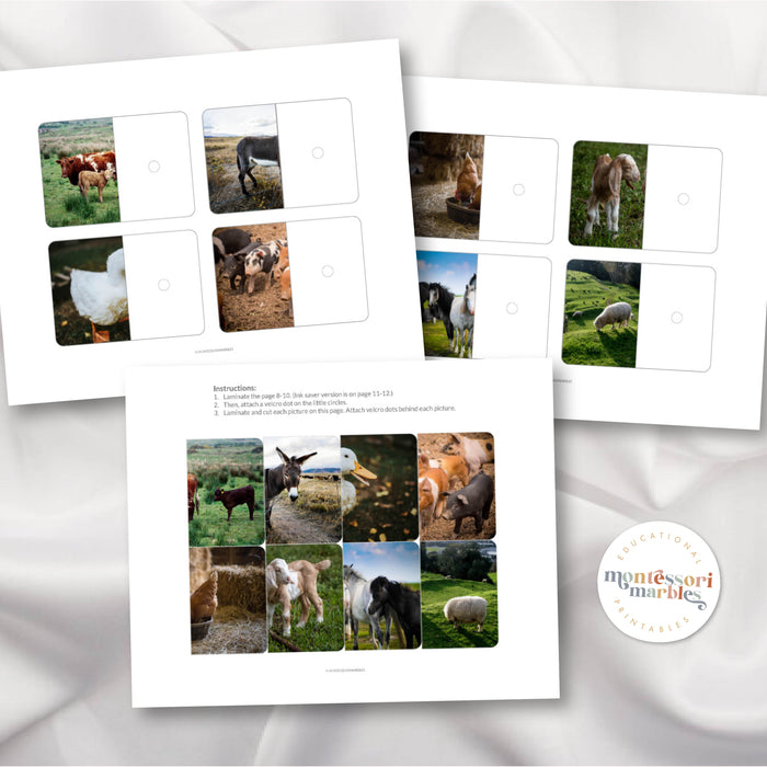 Farm Animals Complete the Pictures