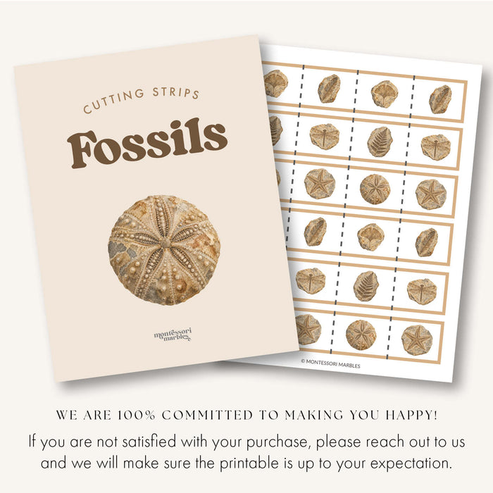 Fossils Cutting Strips