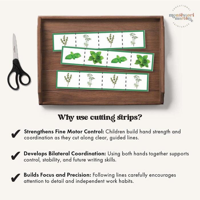 Herbs Cutting Strips
