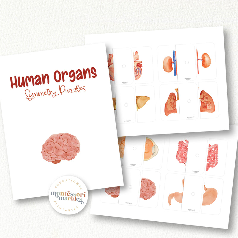 Human Organs Two-Piece Puzzles