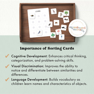 Living and Non Living Sorting Cards