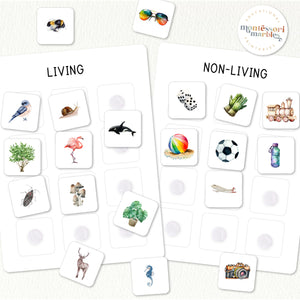 Living and Non Living Sorting Cards