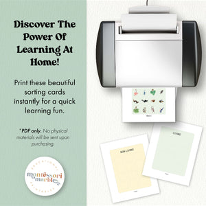 Living and Non Living Sorting Cards