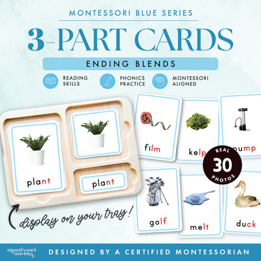 Montessori Blue Series ending blends 3 part cards with real photos showing lamp, plant, and duck on a wooden tray