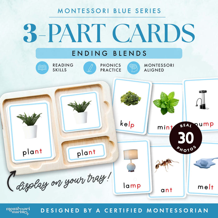 Montessori Blue Series Ending Blends | 3-Part Cards
