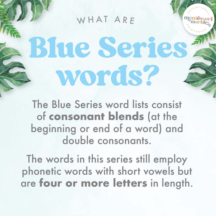 Montessori Blue Series Ending Blends | 3-Part Cards