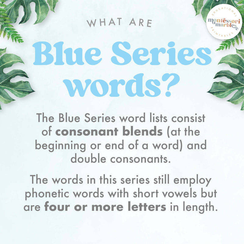 Montessori Blue Series Ending Blends | 3-Part Cards