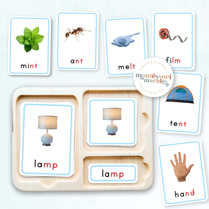 Montessori Blue Series Ending Blends | 3-Part Cards