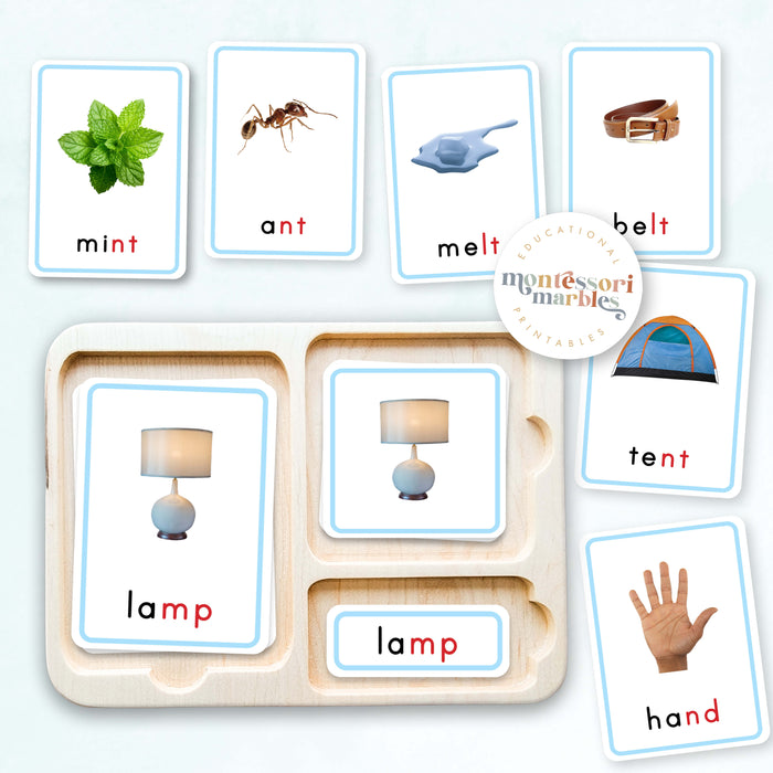 Montessori Blue Series Ending Blends | 3-Part Cards