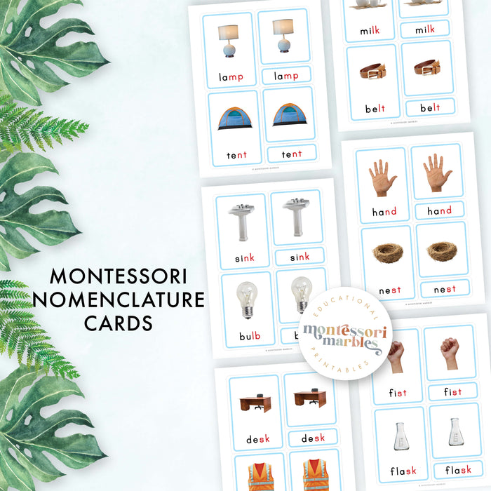 Montessori Blue Series Ending Blends | 3-Part Cards