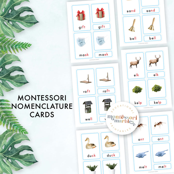 Montessori Blue Series Ending Blends | 3-Part Cards
