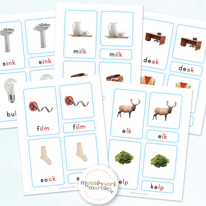 Montessori Blue Series Ending Blends | 3-Part Cards