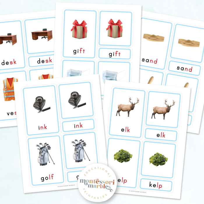 Montessori Blue Series Ending Blends | 3-Part Cards