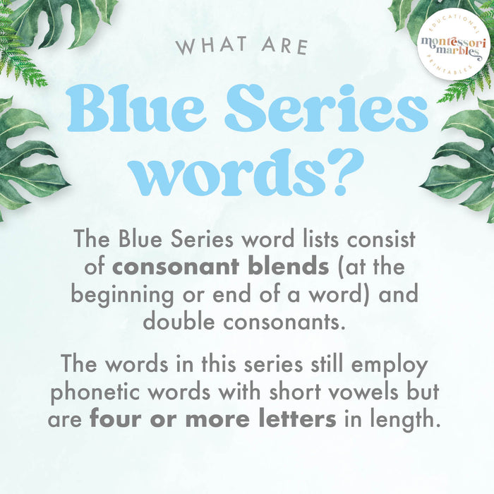 Montessori Blue Series Tracing Cards