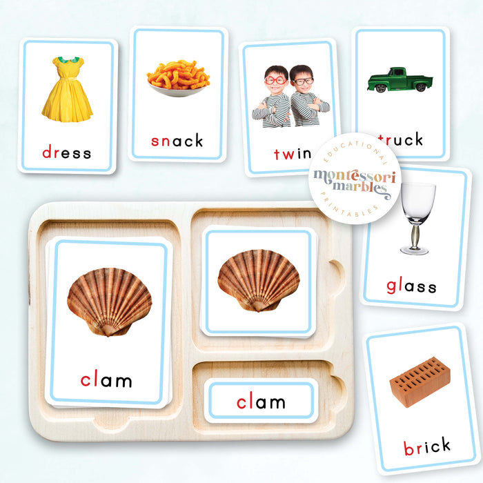 Montessori Blue Series Beginning Blends | 3 Part Cards